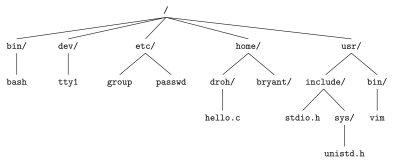 Figure 1. Portion of the Linux directory hierarchy
