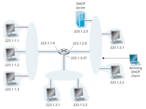 Figure 6. DHCP client and server